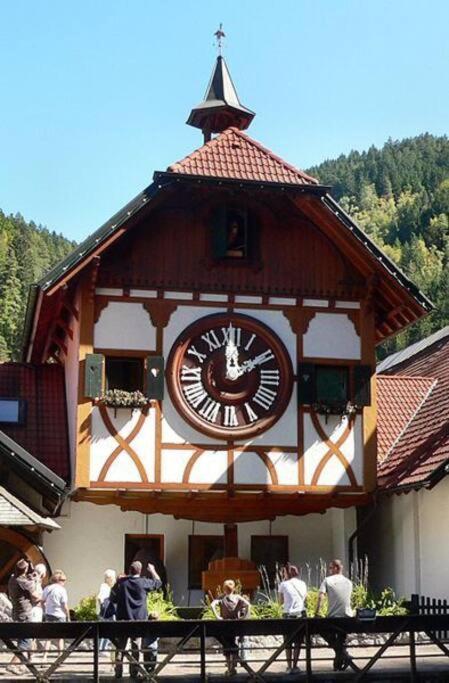 Two-Bedroom Apartment Near Triberg Waterfall Triberg im Schwarzwald Luaran gambar