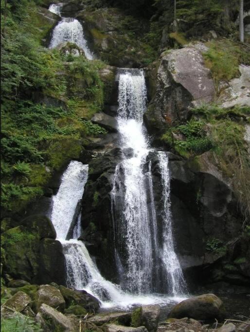 Two-Bedroom Apartment Near Triberg Waterfall Triberg im Schwarzwald Luaran gambar